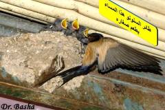 463475616_8581400601927849_3125891675996924897_n