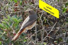 463481752_8604275419640367_2809900030154153062_n