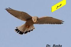 463484611_8585279054873337_907556159488881492_n