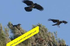 463498431_8591010800966829_3204449581780324756_n