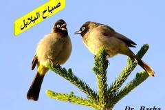 463506268_8587056031362306_5697584179861051140_n