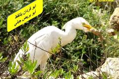 463591748_8584073328327243_6621006431468293354_n