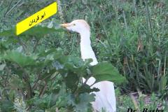 463601946_8592016680866241_1110718088887630581_n