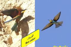 463603200_8584035631664346_3274111135970293934_n