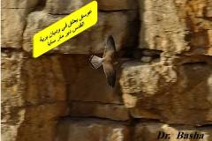 463603737_8585682594832983_1862870106248231811_n