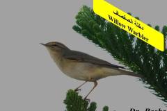 463608730_8604240452977197_2536105580678354170_n