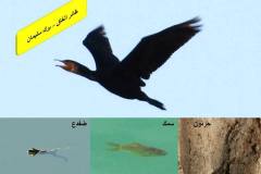 463615901_8591058467628729_7883828020220135303_n