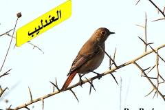 463618003_8590002714400971_6109287182699365897_n