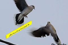 463620150_8590318454369397_2912889138945119210_n