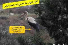 463625723_8586049698129606_324685775167688170_n