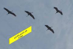 463724844_8610548722346370_427468129939609602_n