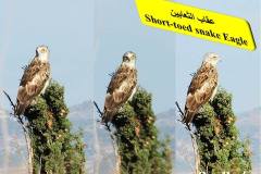 463724892_8602769309790978_5249765413469379364_n