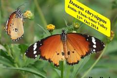 463733430_8607259616008614_7262579104976929636_n