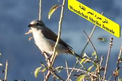 463756834_8602634409804468_5460926611283616495_n