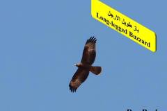 463777710_8608111589256750_6747508350124146785_n