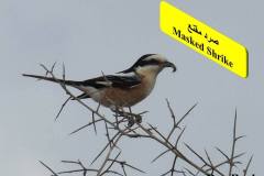 463783233_8603851946349381_3246982774314791182_n