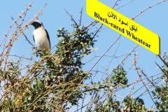 463784561_8604240439643865_5774473653344157564_n