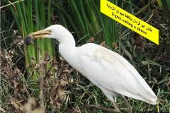 463785152_8609772675757308_9163724005807835218_n