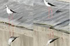 463786394_8609806445753931_3009591124446316456_n