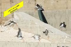 463787334_8609085005826075_2932626825950712643_n