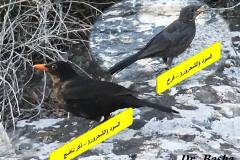 463791151_8591457390922170_1927619257777958570_n