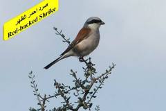 463795485_8602550569812852_7661280853576332919_n