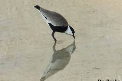 463825721_8610061639061745_1676354279552547208_n