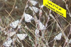 463828783_8602210289846880_6579912173107116561_n