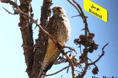 463828859_8606754629392446_4341079032430741967_n