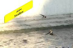 463832285_8607897065944869_3245911117634798297_n