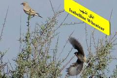 463847426_8603279259739983_2409265169617840606_n