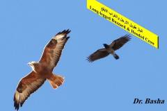 463861062_8609153572485885_633485949436031129_n