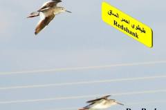 463861552_8607886982612544_2882131330312189659_n