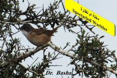 463866500_8603915256343050_8233997310370998481_n