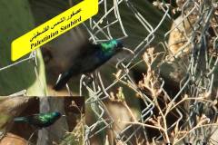 463872974_8602312406503335_2922783498641627637_n