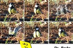 463873326_8607037219364187_2540730693335579129_n