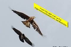 463879444_8608795152521727_3136760870031003175_n