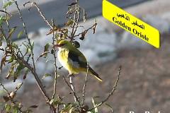 463887373_8603783333022909_17337498265601420_n