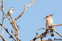 463891535_8609176955816880_2338602245579013248_n