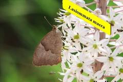 463895567_8603732119694697_5990950114326793379_n