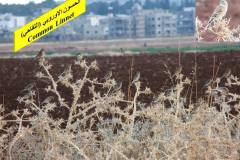 463898779_8608740612527181_8533448435952220104_n