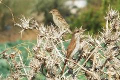 463904556_8608414545893121_1159482227368659120_n