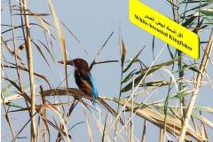 463906557_8608414262559816_8732071651114061376_n