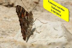 463921953_8604857692915473_4179062279948149118_n