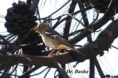 463930913_8609237605810815_8690203480723300343_n