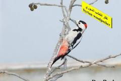 463937036_8608740412527201_5979245792733730766_n