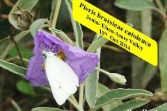 463945588_8607262132675029_4402475080280165509_n