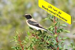 463954180_8604281396306436_5935123538465577219_n