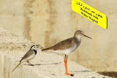 463955437_8607883362612906_468719020416360836_n