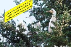 463957968_8601094616625114_8529445692966718324_n